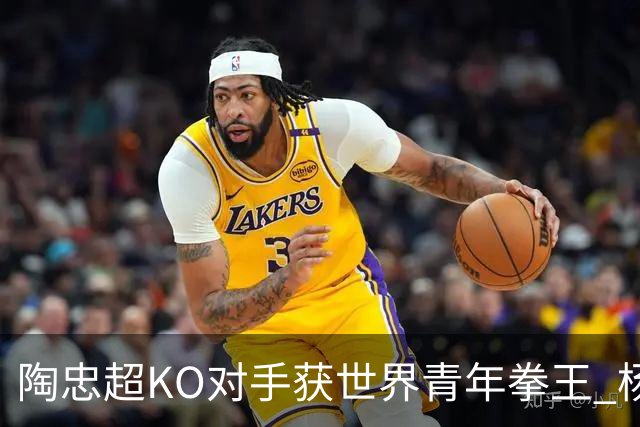 陶忠超KO对手获世界青年拳王 杨永强苦胜越老将